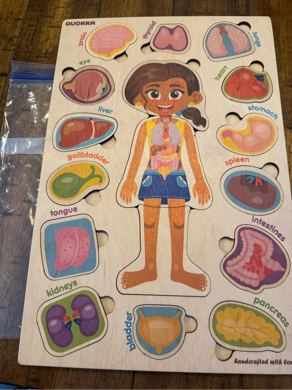 Quoakka Kids Wooden Human Anatomy Puzzle - Multicolor